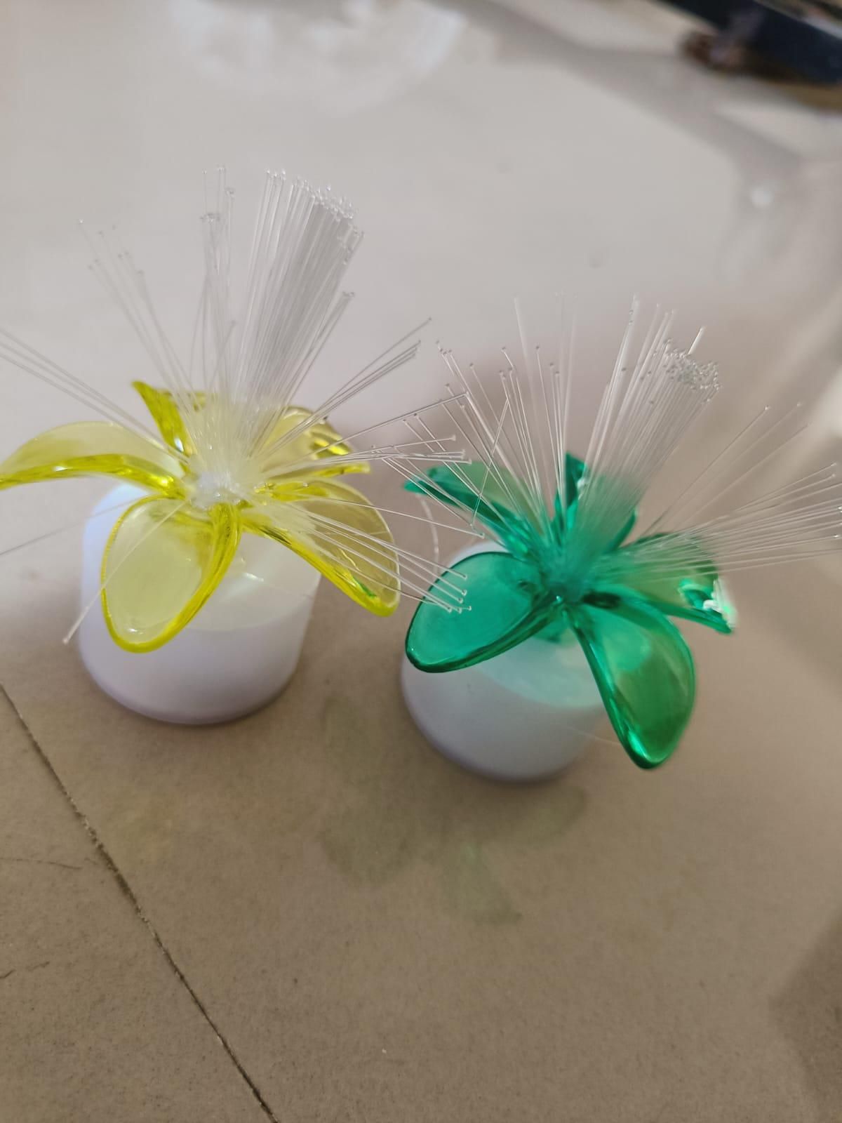 Home Decoration ( pack of 2)